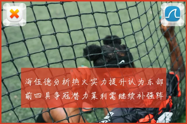 海伍德分析热火实力提升认为东部前四具争冠潜力莱利需继续补强阵容
